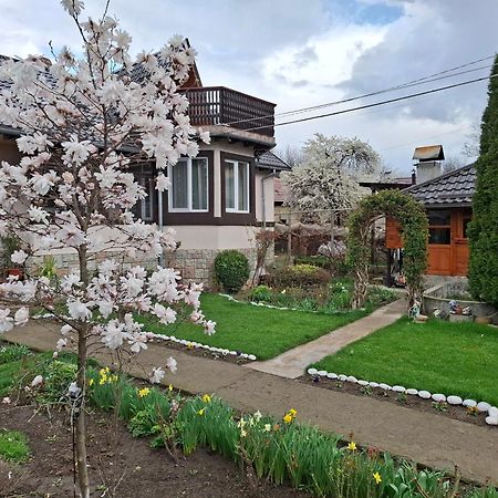 Appartamento Casa Fetic Nehoiu Esterno foto