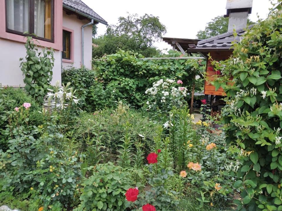 Appartamento Casa Fetic Nehoiu Esterno foto