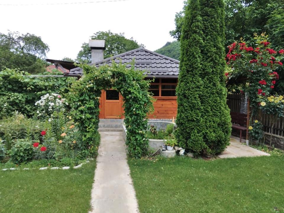 Appartamento Casa Fetic Nehoiu Esterno foto
