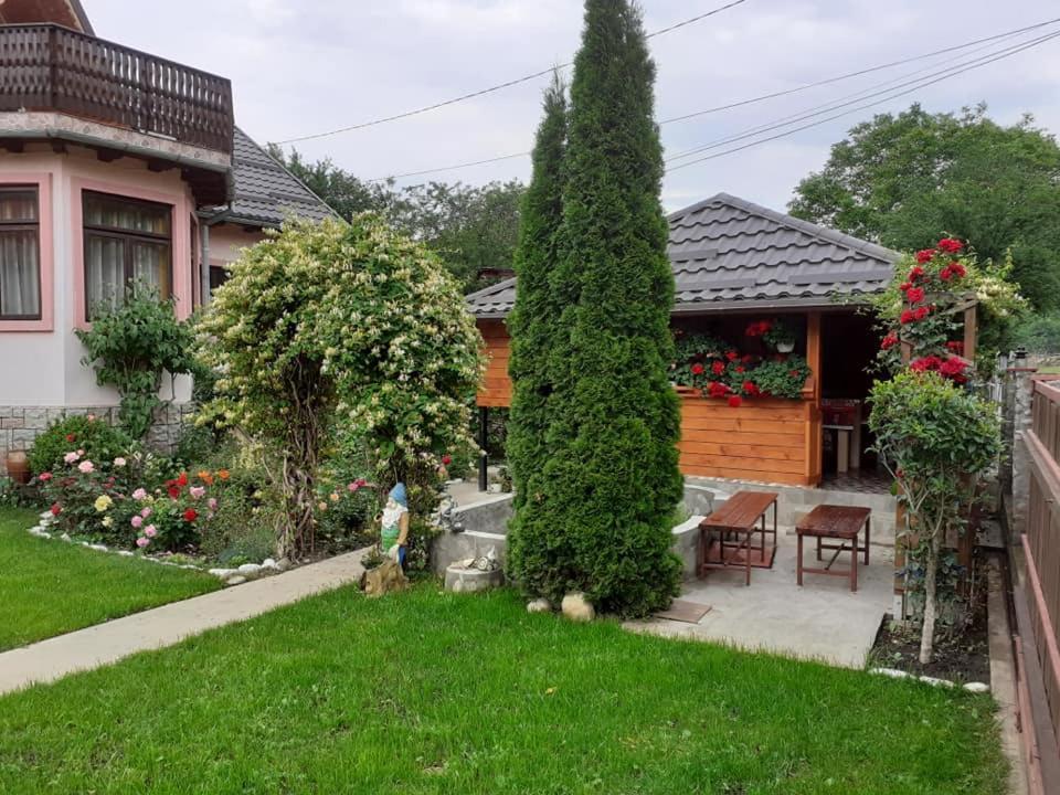 Appartamento Casa Fetic Nehoiu Esterno foto