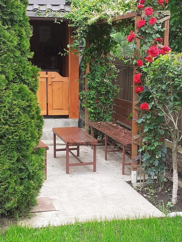 Appartamento Casa Fetic Nehoiu Esterno foto