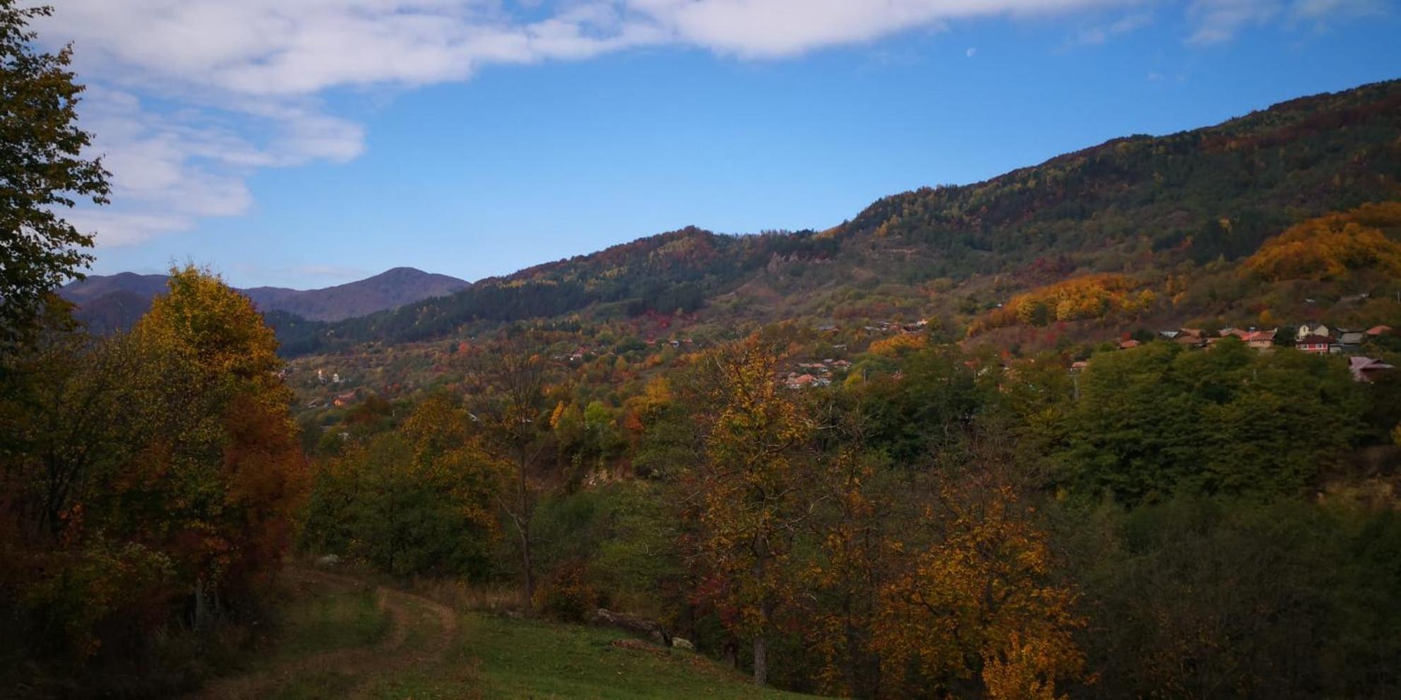 Appartamento Casa Fetic Nehoiu Esterno foto