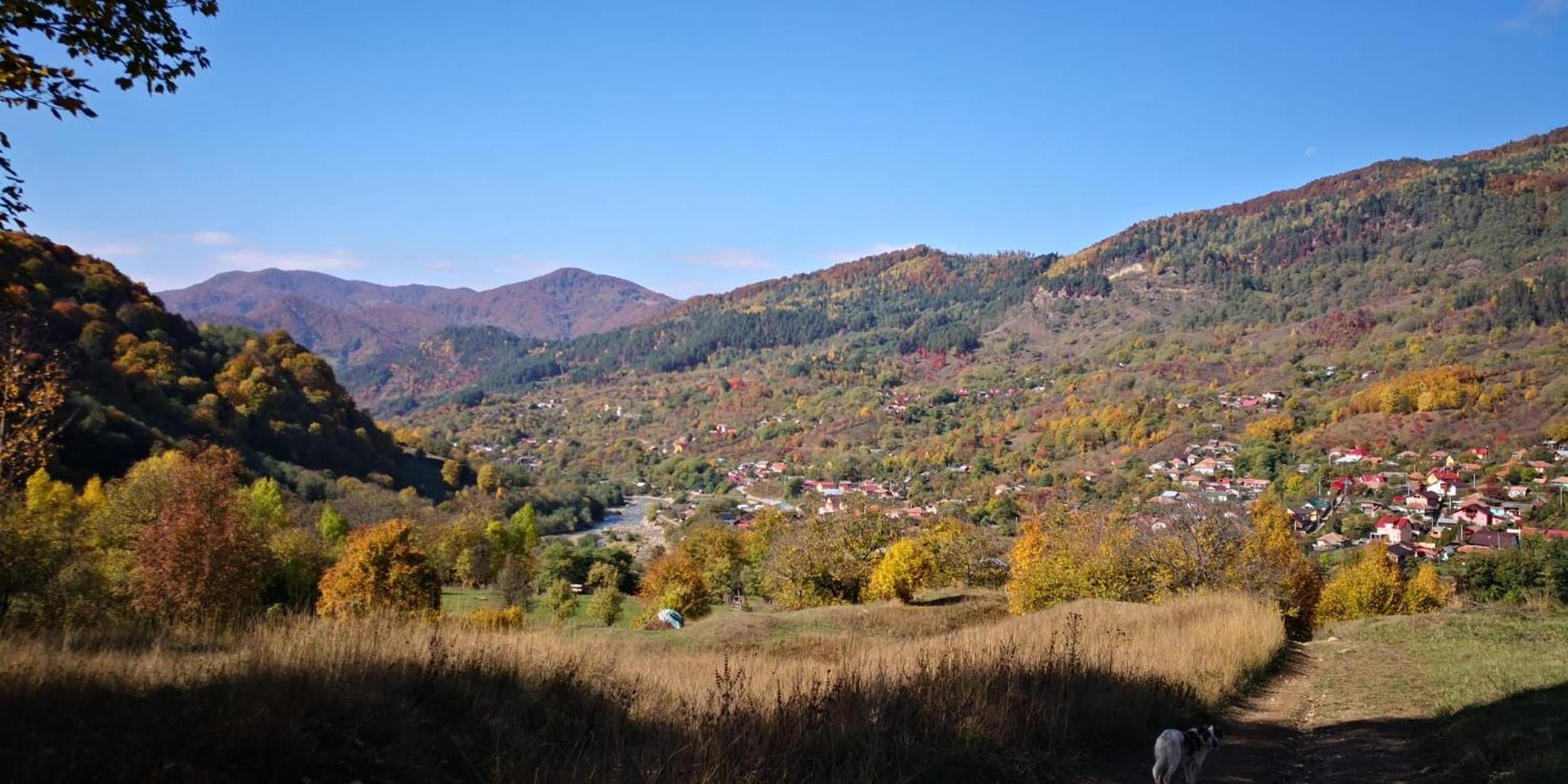 Appartamento Casa Fetic Nehoiu Esterno foto