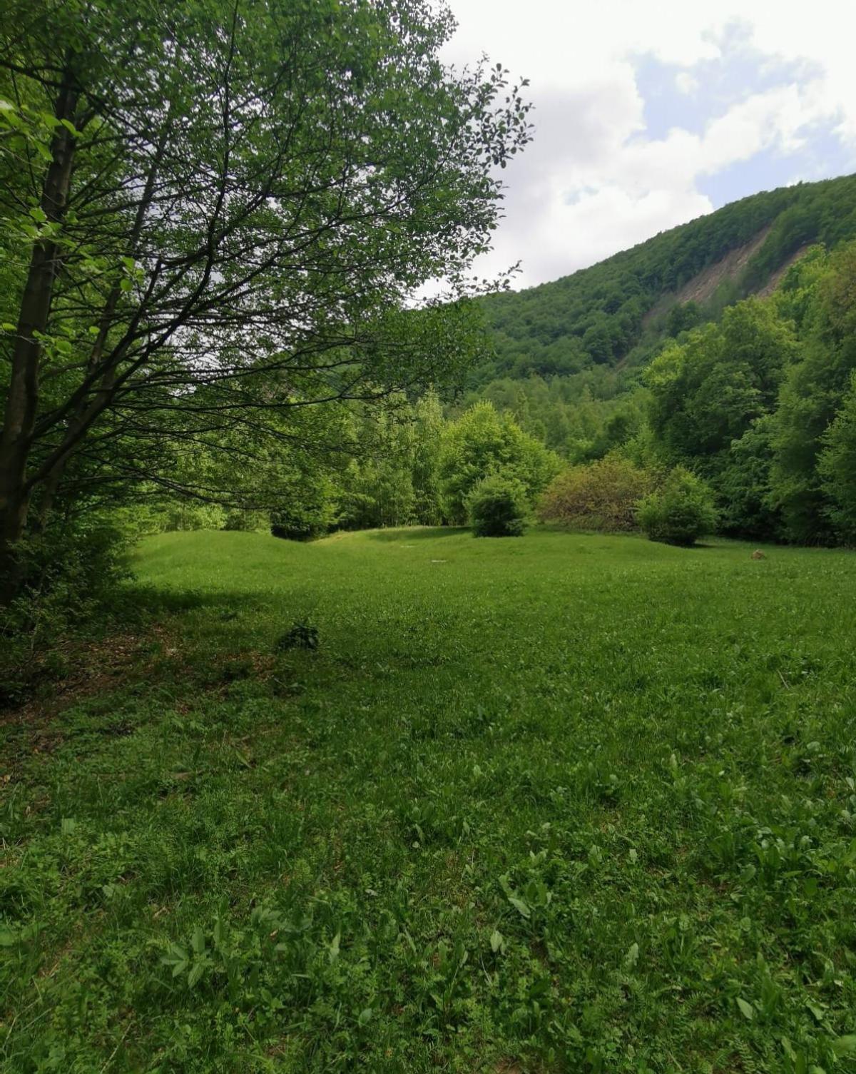 Appartamento Casa Fetic Nehoiu Esterno foto