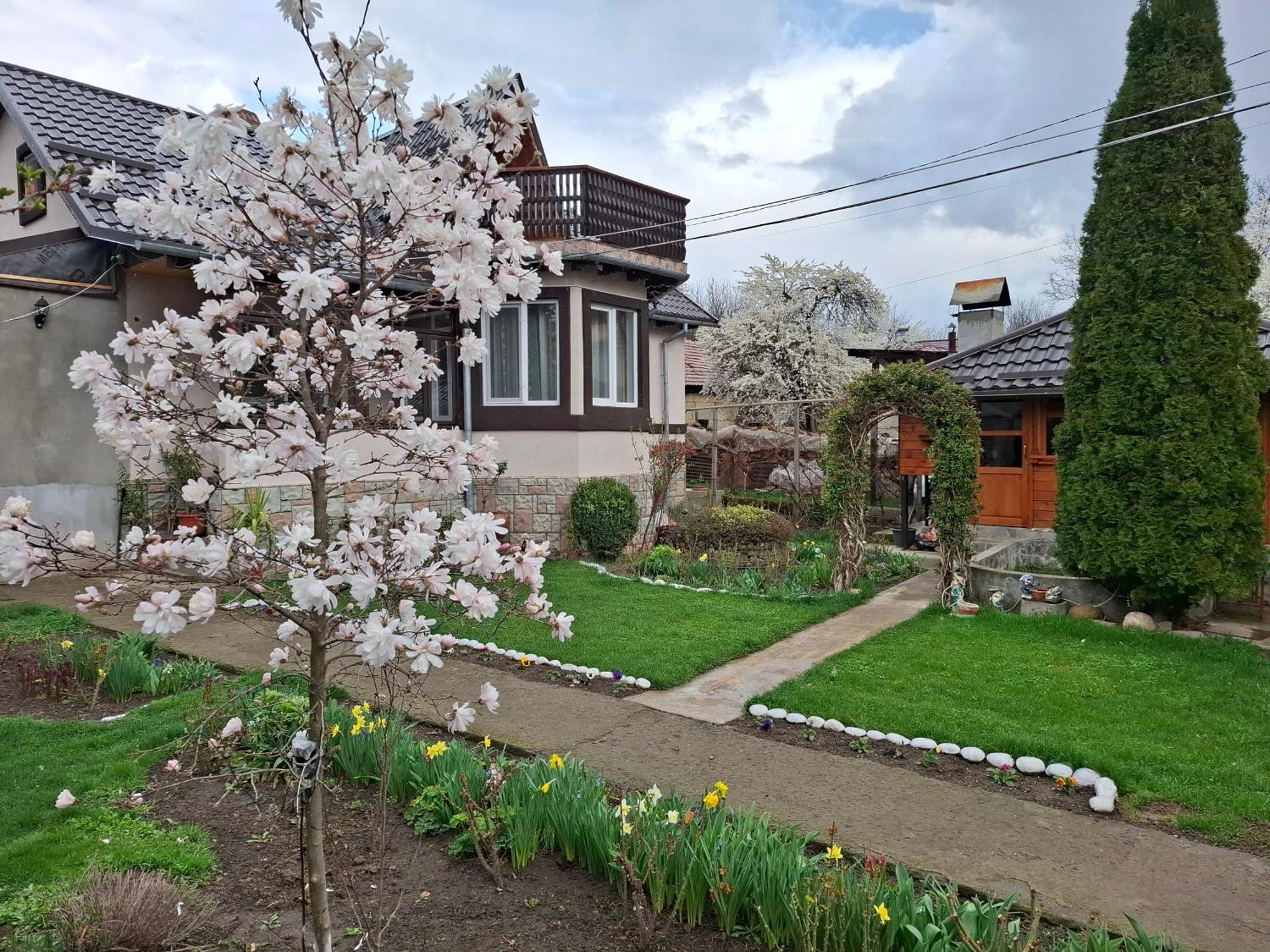 Appartamento Casa Fetic Nehoiu Esterno foto