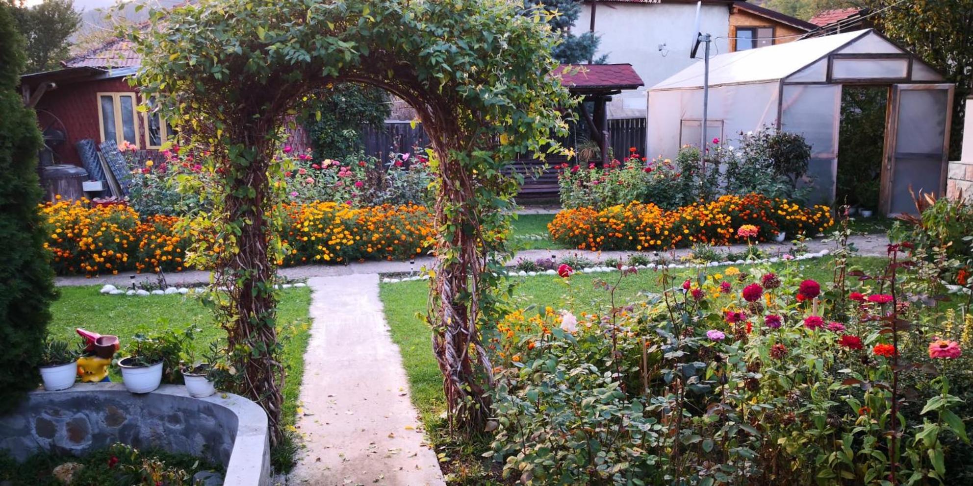 Appartamento Casa Fetic Nehoiu Esterno foto