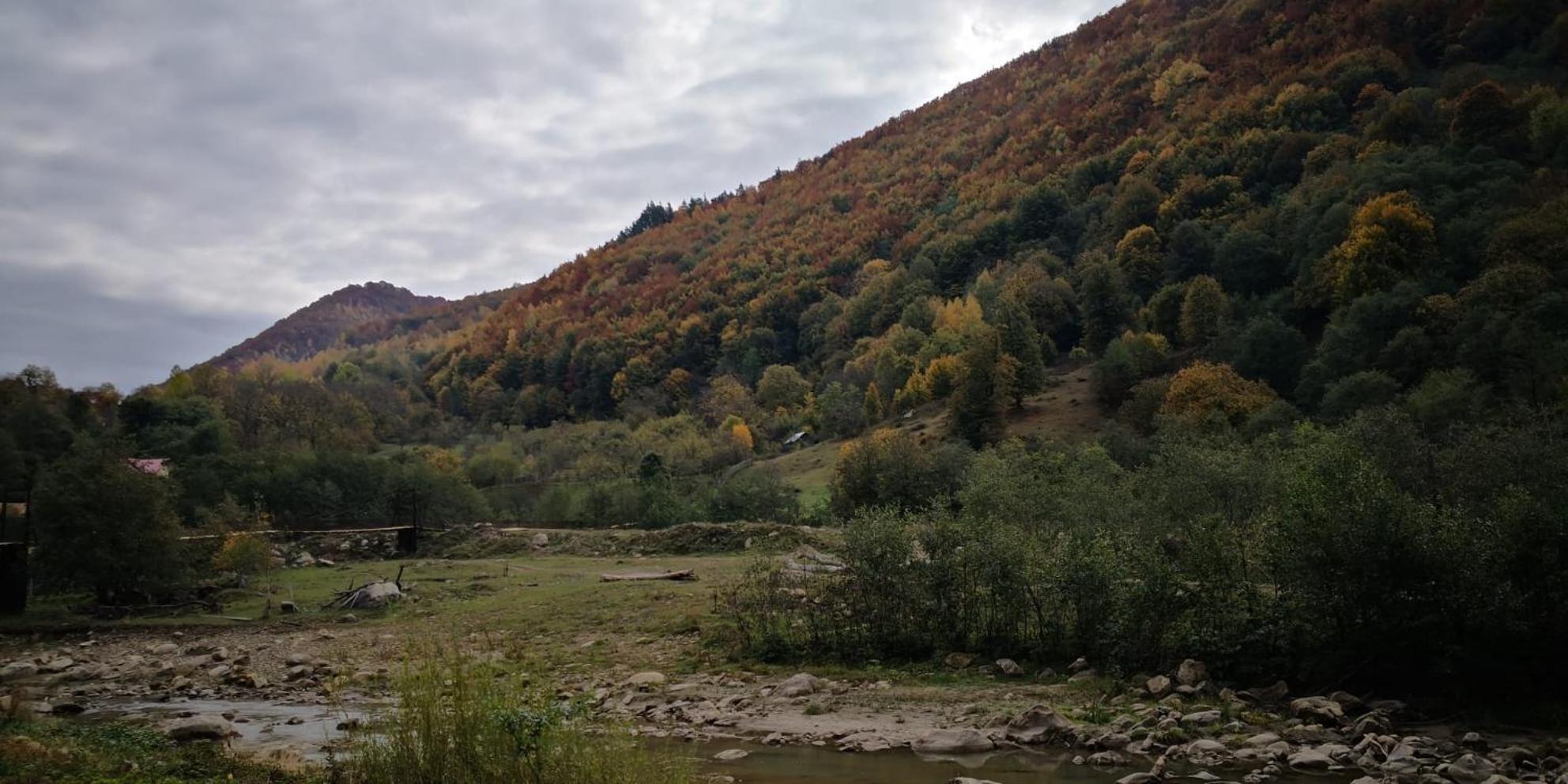 Appartamento Casa Fetic Nehoiu Esterno foto