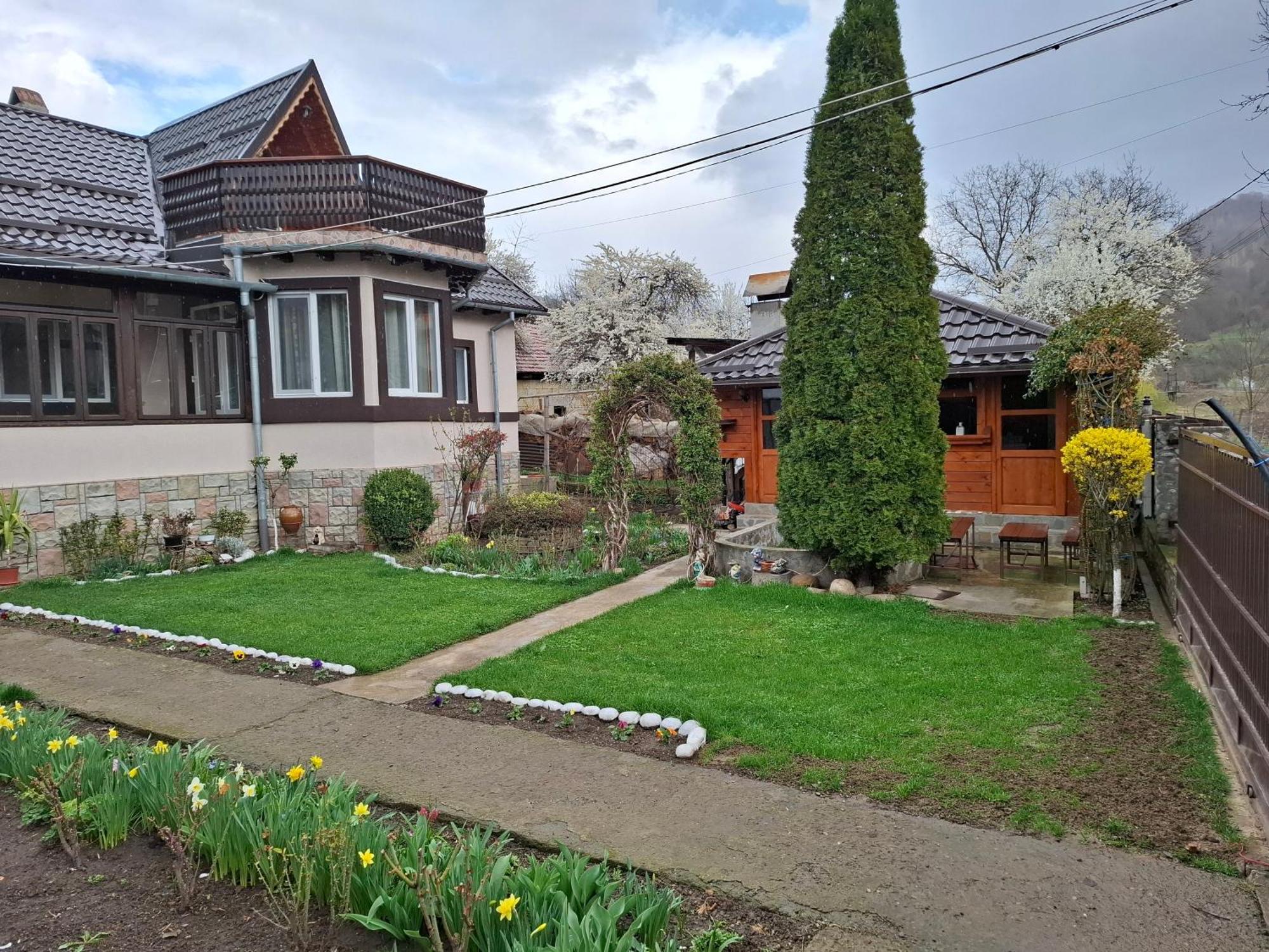 Appartamento Casa Fetic Nehoiu Esterno foto
