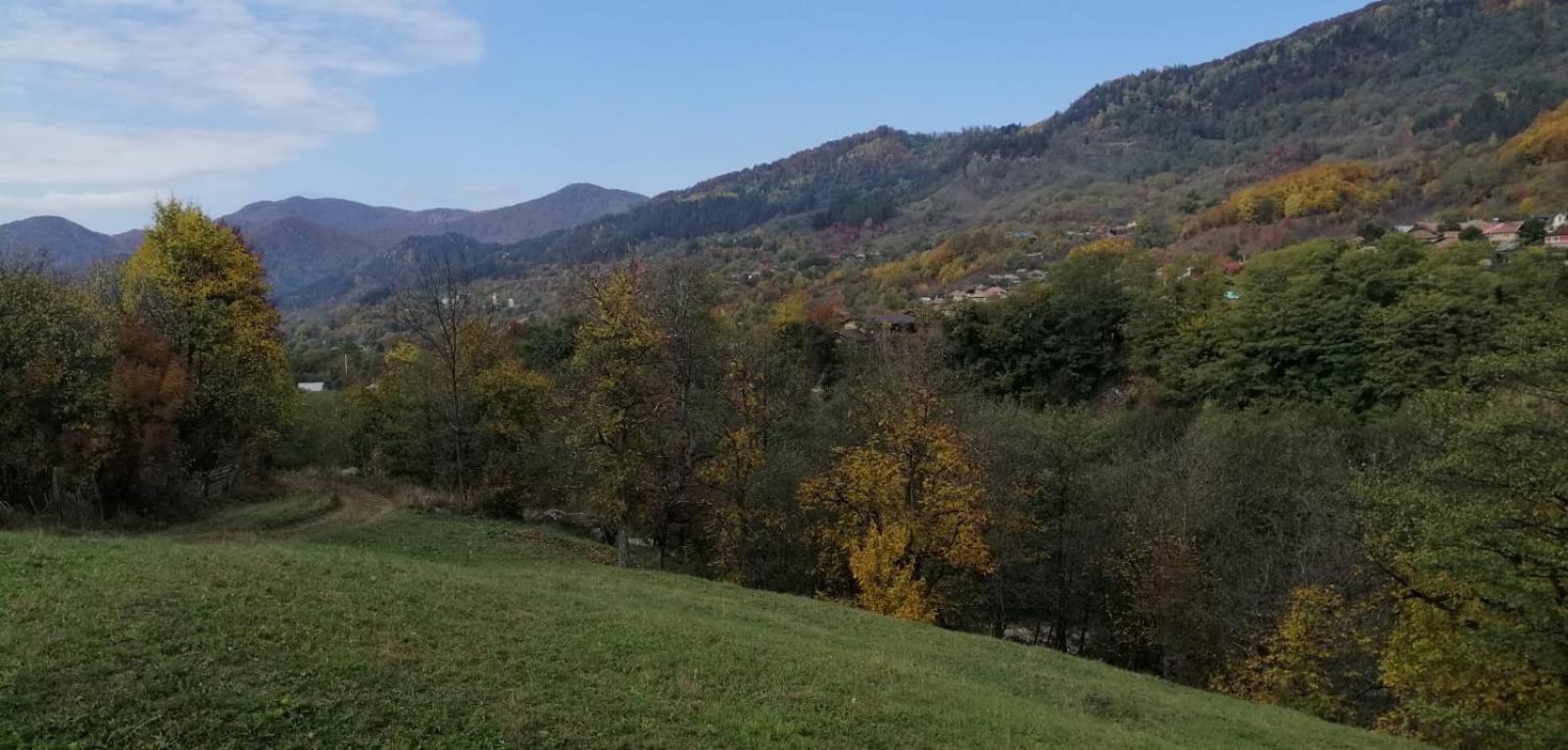 Appartamento Casa Fetic Nehoiu Esterno foto