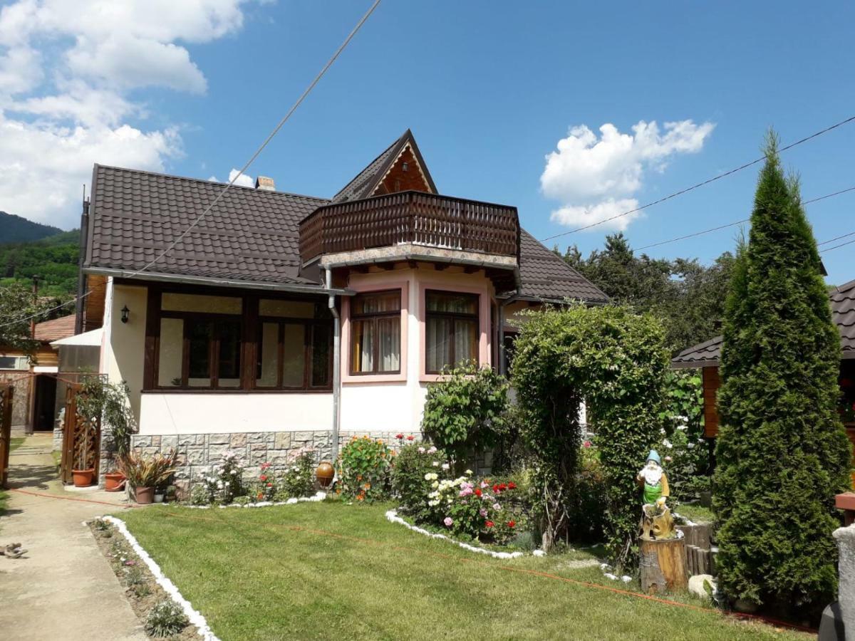 Appartamento Casa Fetic Nehoiu Esterno foto