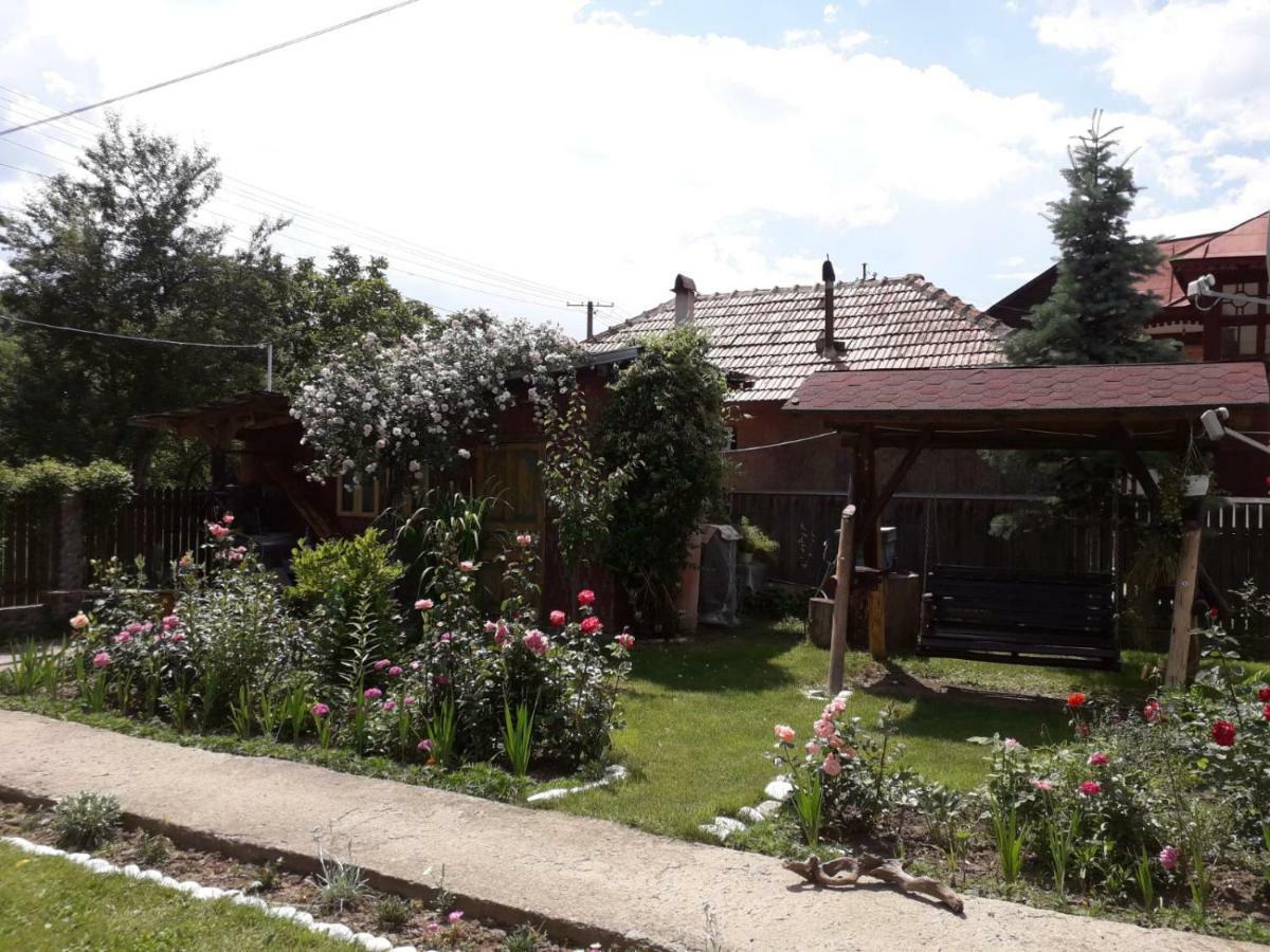 Appartamento Casa Fetic Nehoiu Esterno foto