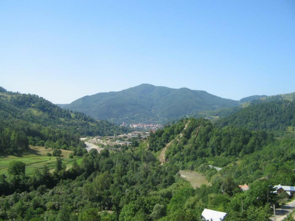Appartamento Casa Fetic Nehoiu Esterno foto
