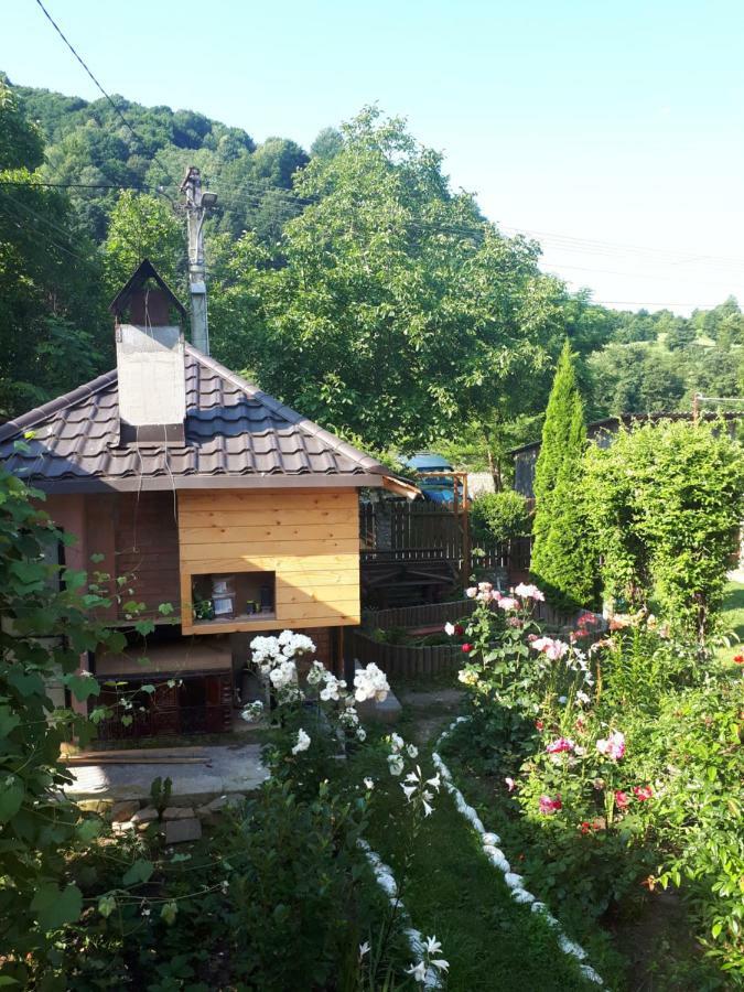 Appartamento Casa Fetic Nehoiu Esterno foto