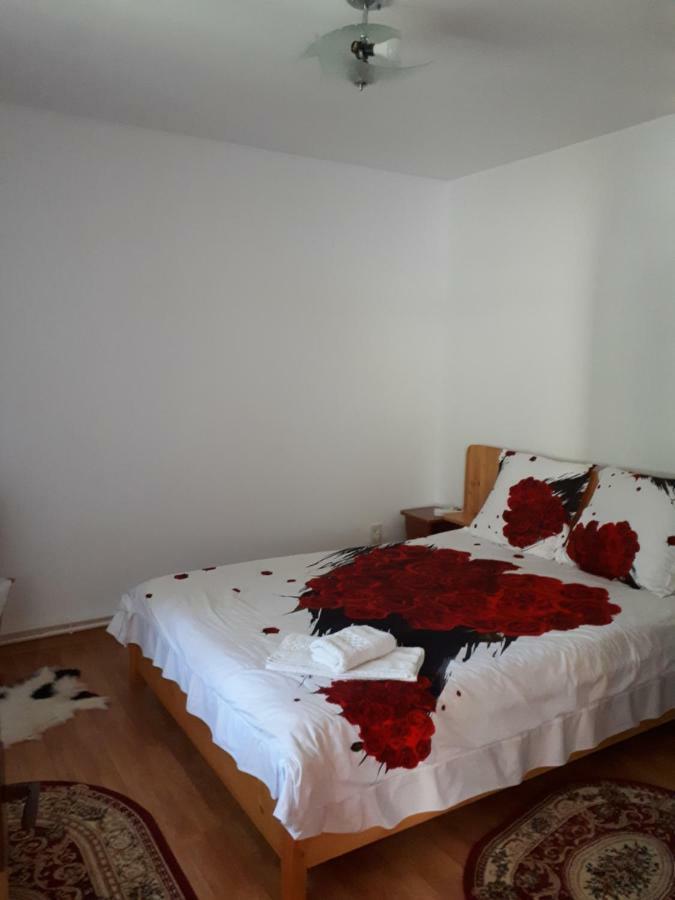 Appartamento Casa Fetic Nehoiu Esterno foto