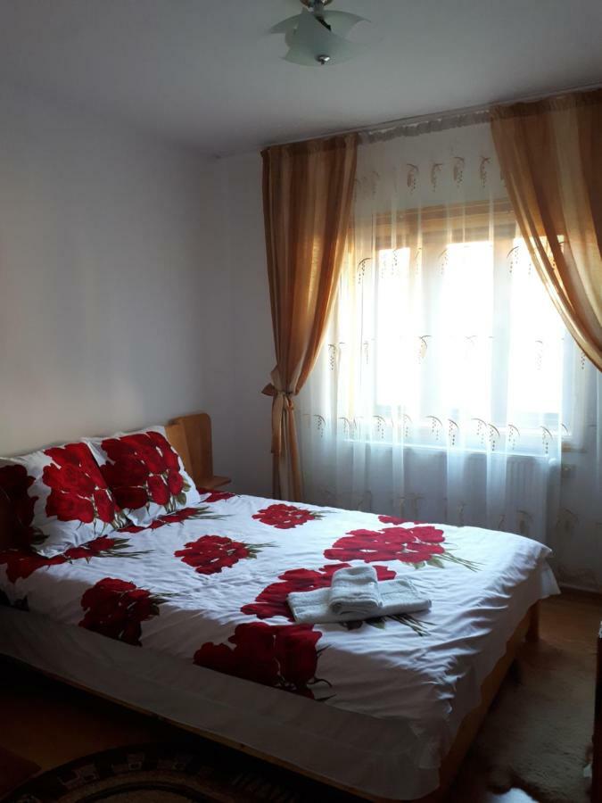 Appartamento Casa Fetic Nehoiu Esterno foto